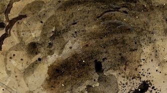Les Assis - Damien et Stéphane Cuvillier, Cicatrices de guerre(s), Collectif, Editions de la Gouttière
